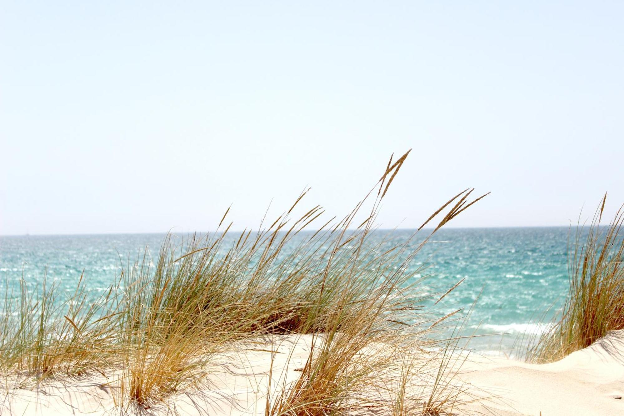 Ocean Sands Beach Inn (Adults Only) เซนต์ออกัสติน ภายนอก รูปภาพ