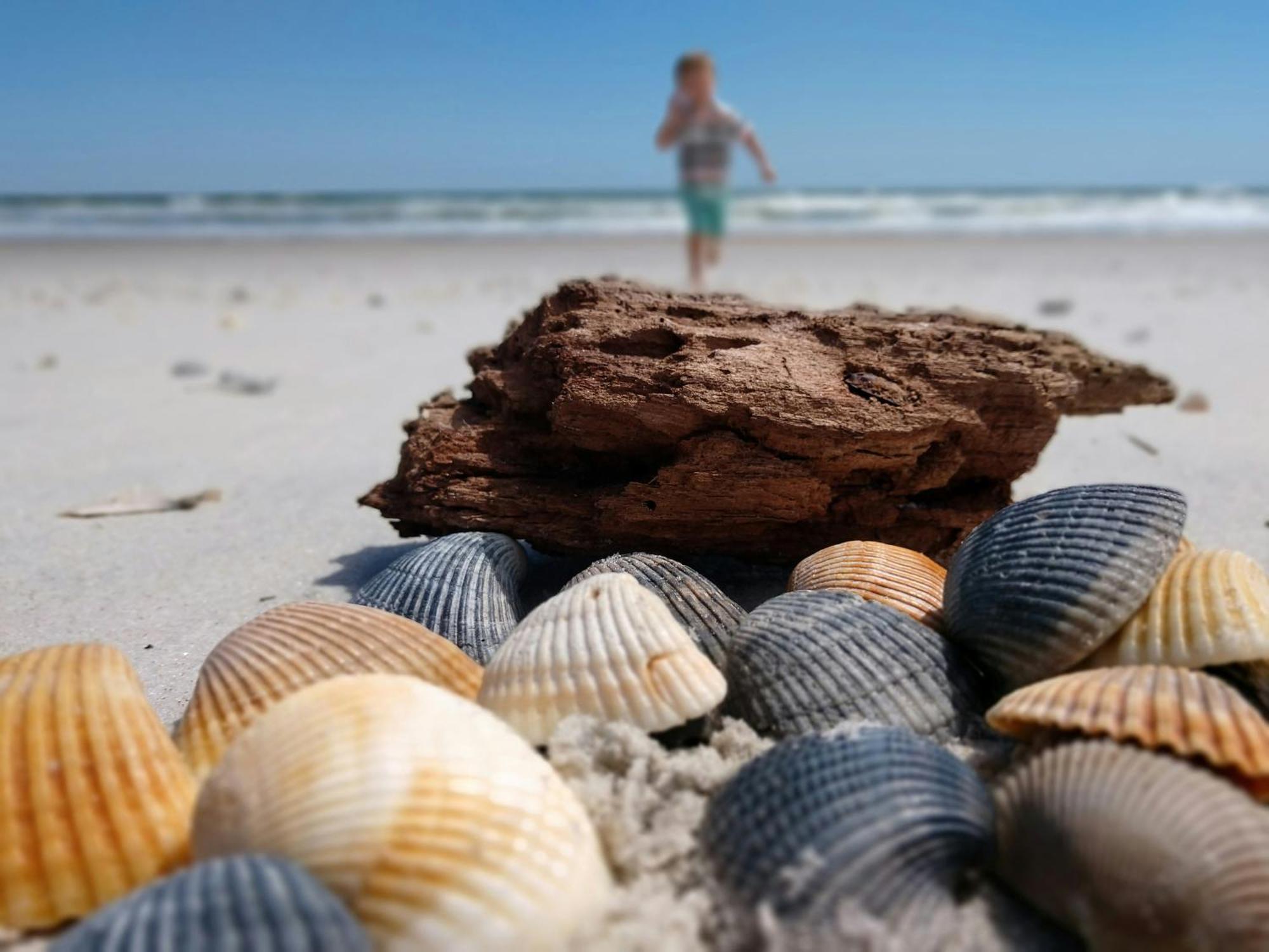 Ocean Sands Beach Inn (Adults Only) เซนต์ออกัสติน ภายนอก รูปภาพ