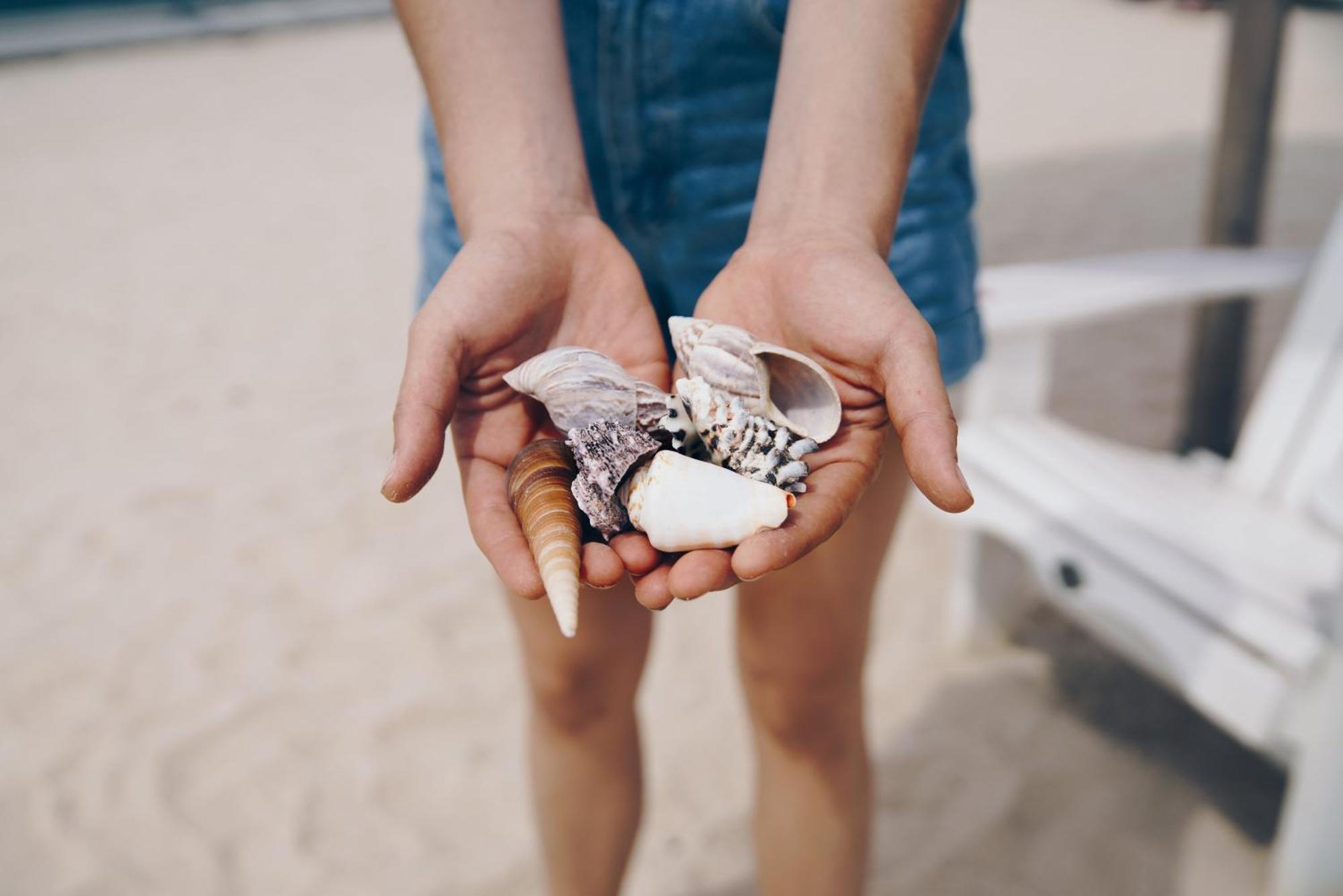 Ocean Sands Beach Inn (Adults Only) เซนต์ออกัสติน ภายนอก รูปภาพ